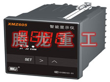 溫度表、數(shù)字顯示儀、濕度表